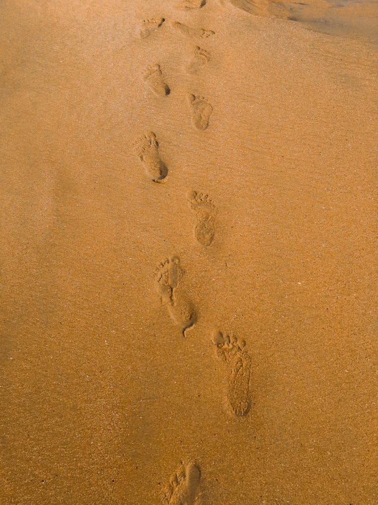 Tranquil view of sandy beach with human footprints leading away. Perfect for travel or relaxation themes.